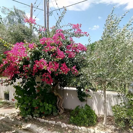 Esmeralda Zante House Apartament Argassi